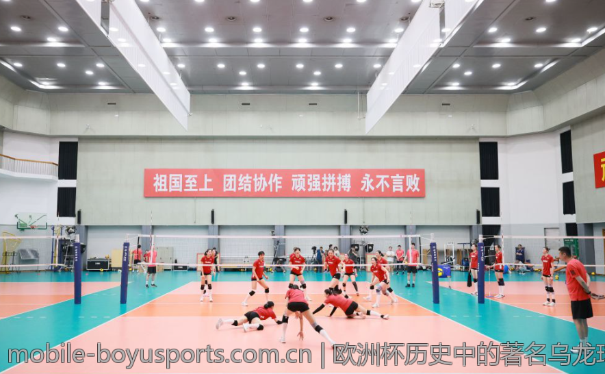 欧洲杯历史中的著名乌龙球