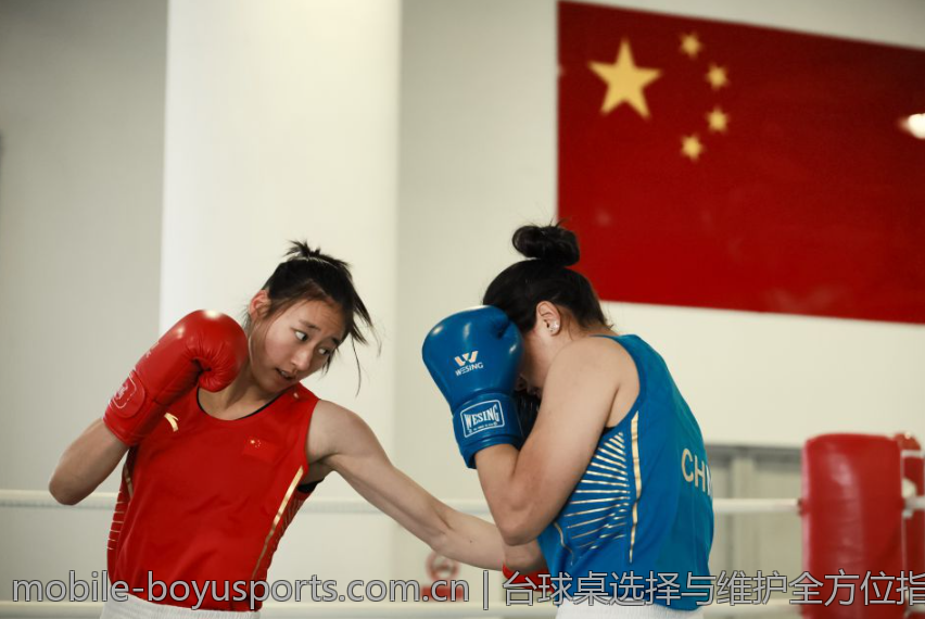 台球桌选择与维护全方位指南